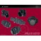 Deutsch Autosport AS Connector 10 Way Shell Size 12 Pin Layout 12-98 Style 1 Inline Receptacle Blue B Keyway Pins Standard