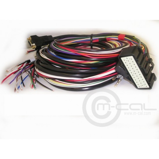 MC79-361002 - MoTeC Harness ECU M48 Cut to Fit Loom (2.5m Unterminated)