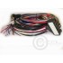 MoTeC Harness ECU M48 Cut to Fit Loom (2.5m Unterminated)